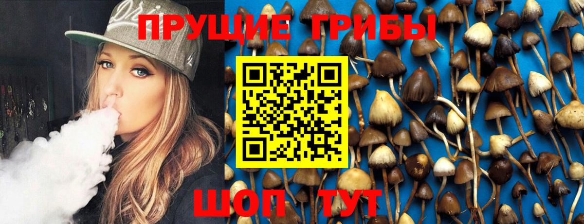 Псилоцибиновые грибы Psilocybe  цены   Каменка  Вход с VPN 